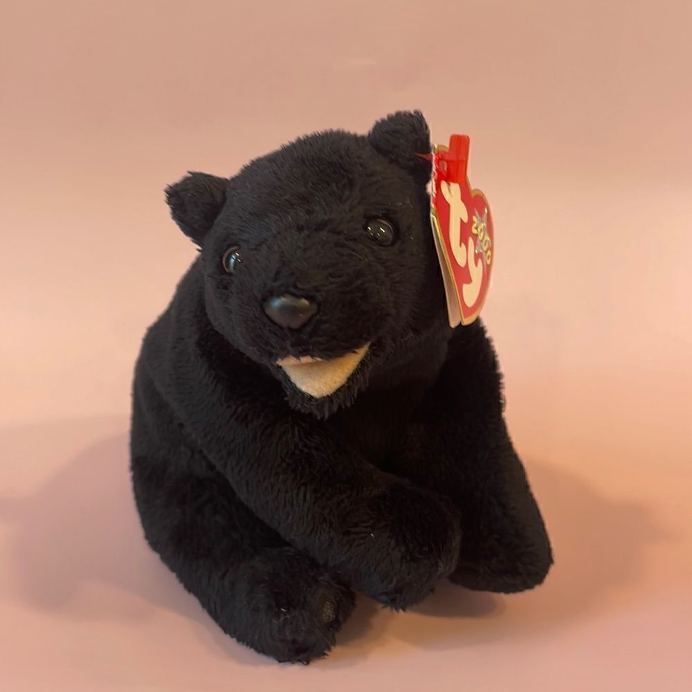 Cinders the Black Bear (RETIRED) 2000 Original Beanie Baby Ty Inc. NWT EUC 5”